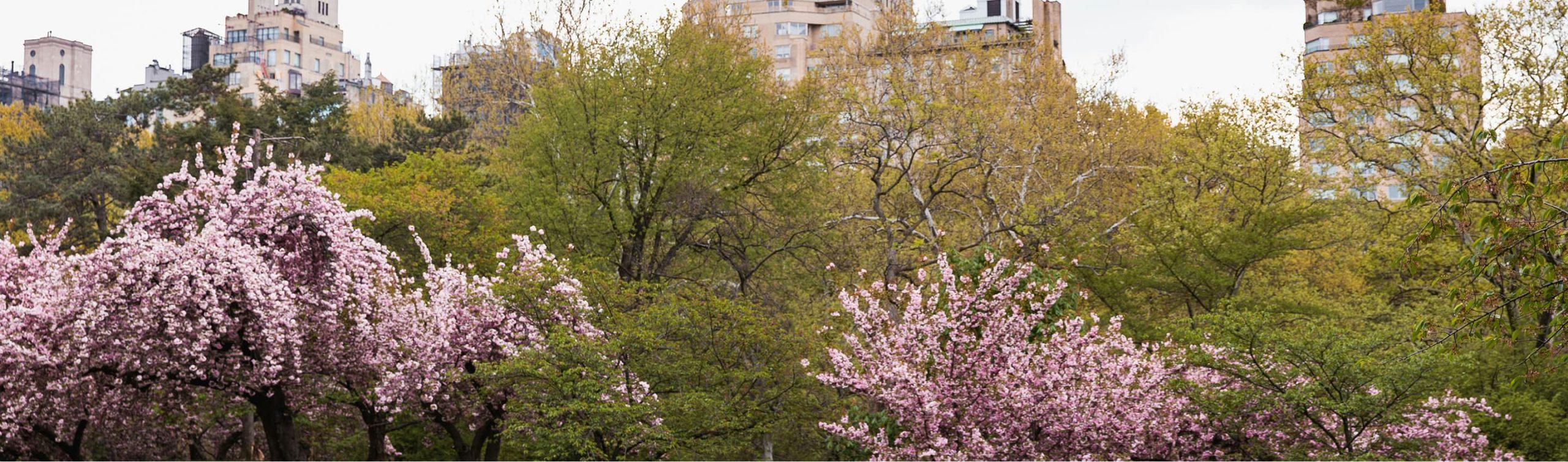 Ferny Fertility + Gynecology – Midtown East